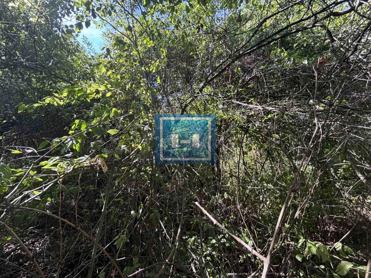 Prodaja, Kuća, Varvarin, Okolina, Izbenica 8