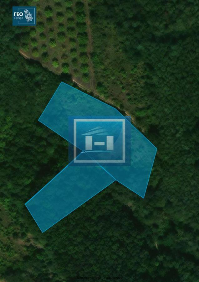 Njiva i šuma – Paljane, ukupna površina 59,6 ari 1