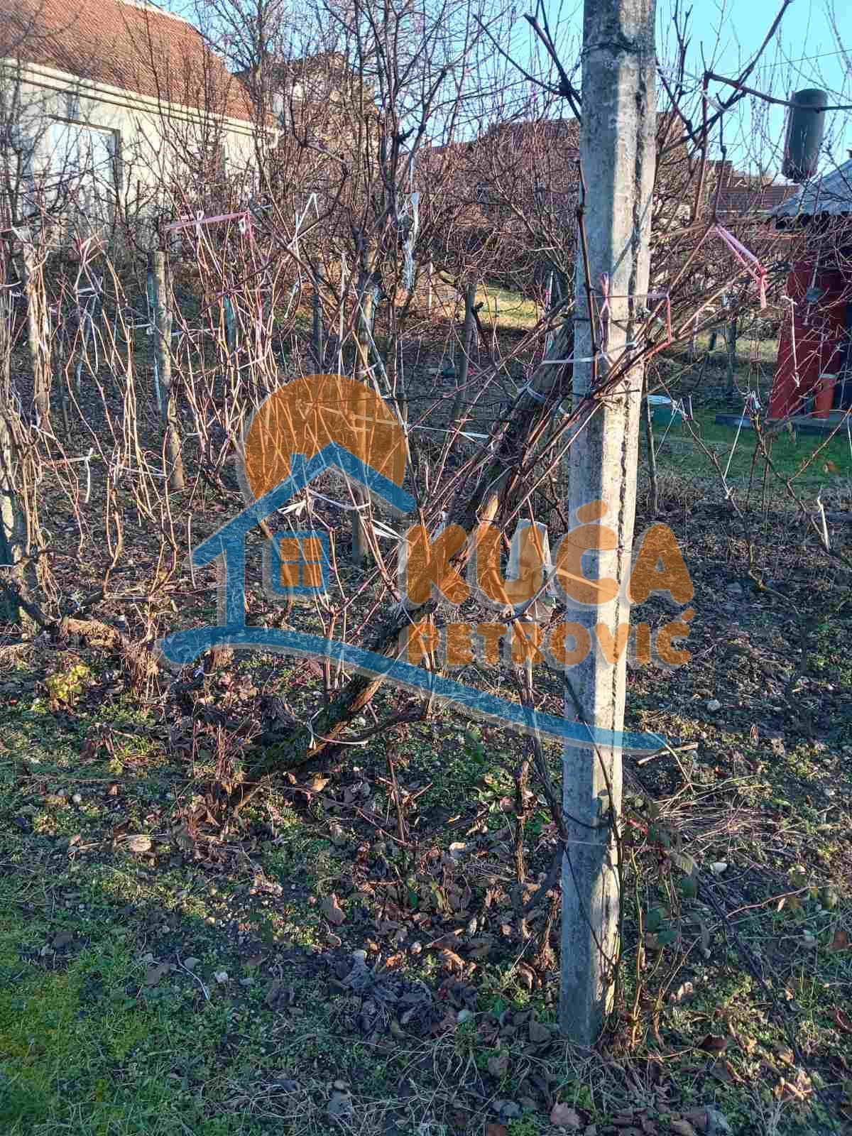 četvorosobna kuća, 23 m2, Palilula, Gabrovački put ID: p-014836 16