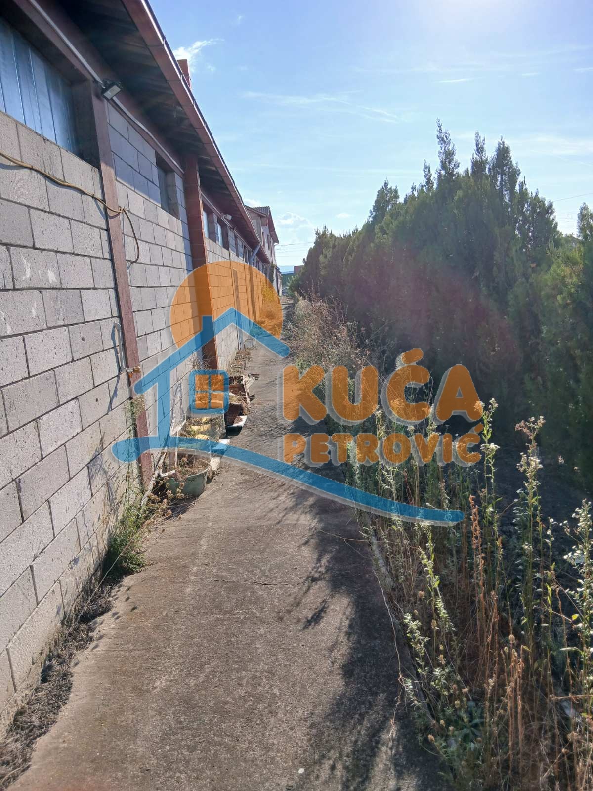 Lokal, 1311 m2, Palilula, Donje Medjurovo ID: p-014852 2