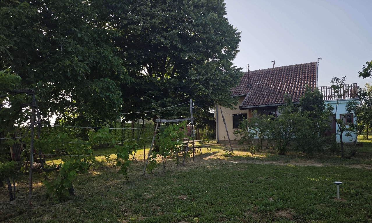 Vikendica sa pogledom na Srem Irig Krusedol 3