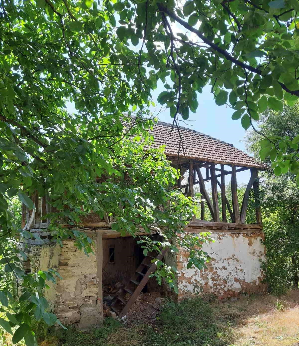 Boljevac kuca sa okucnicom 1km od centar 2