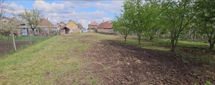 Kuca i plac u Žablju 4