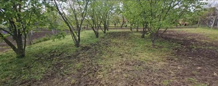 Kuca i plac u Žablju 5