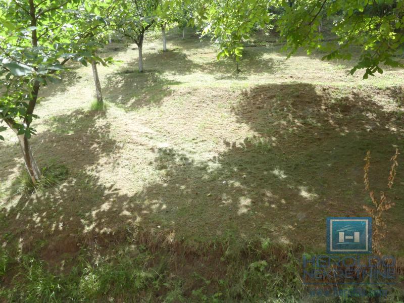 Prodaja, Kuća, Jagodina, Strelište 2