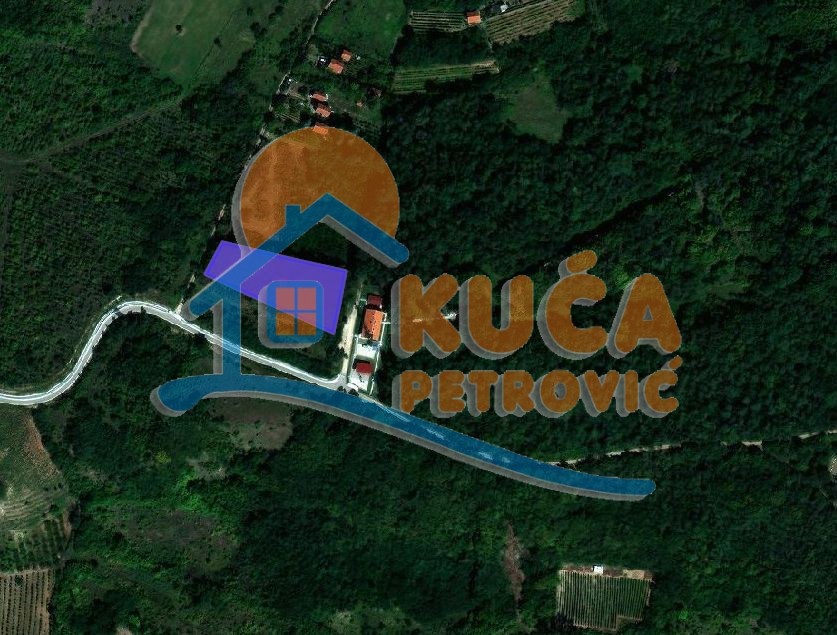 Plac, Palilula, Gabrovac ID: p-014884 1