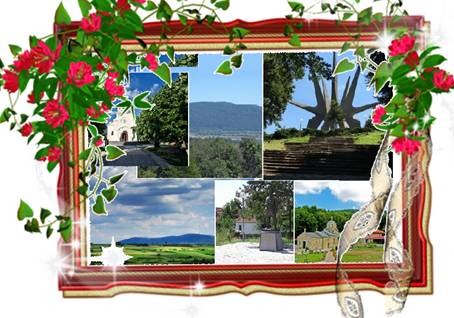 Izuzetan plac pod Kosmajem 2