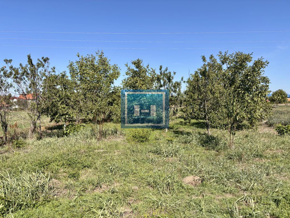 Nova prizemna kuća na mirnoj lokaciji 7