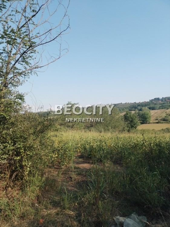 Plac, Barajevo, Vranićka ID: 122821 1