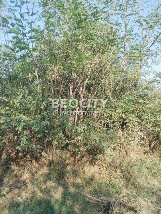 Plac, Barajevo, Vranićka ID: 122821 2