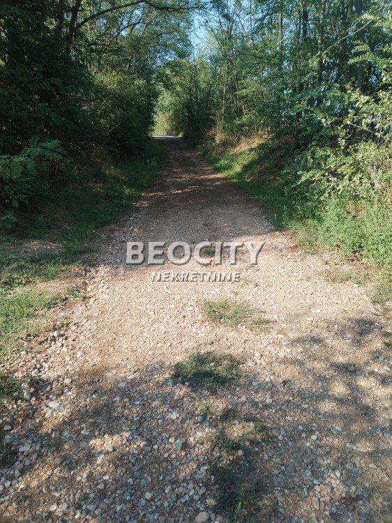 Plac, Barajevo, Vranićka ID: 122821 3