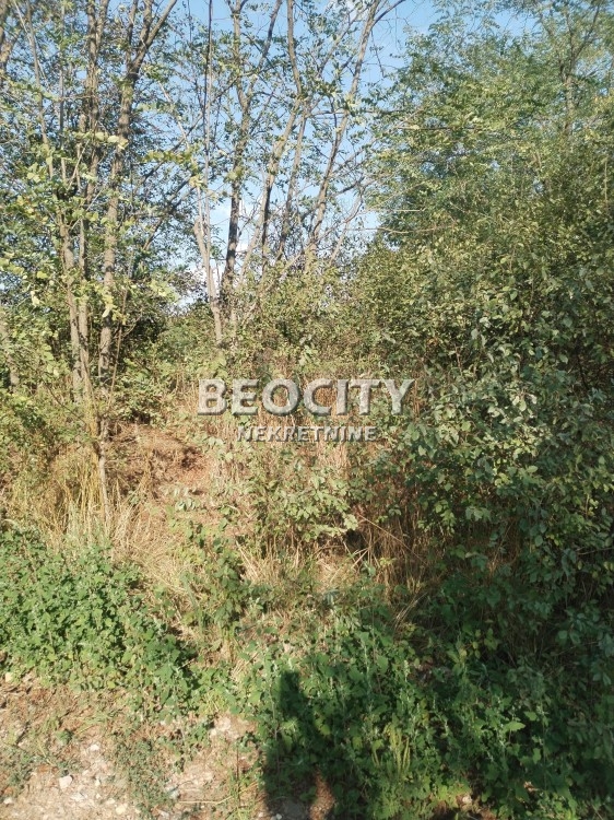 Plac, Barajevo, Vranićka ID: 122821 4