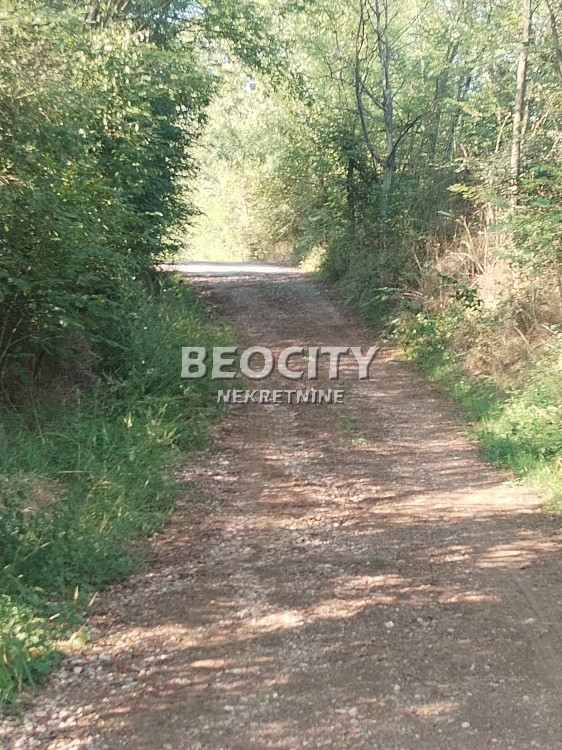 Plac, Barajevo, Vranićka ID: 122821 5