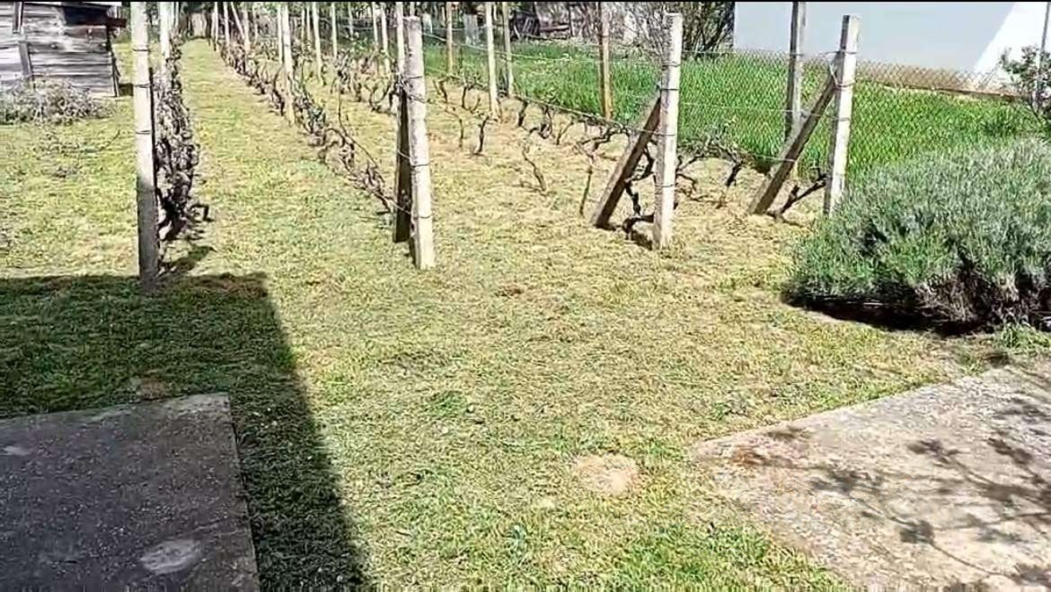 Kuca u vikend naselju Cortanovci 4