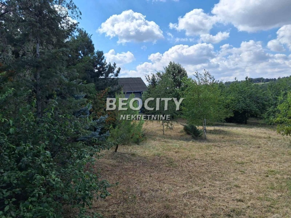 Plac, Sremčica, Bicin potok ID: 123837 3