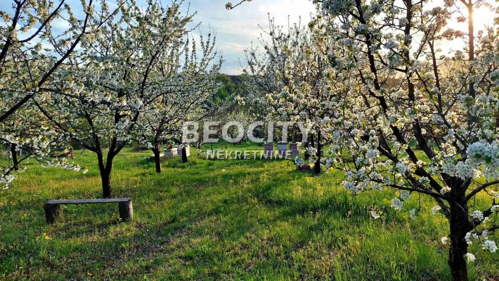 Plac, Sremčica, Bicin potok ID: 123837 8