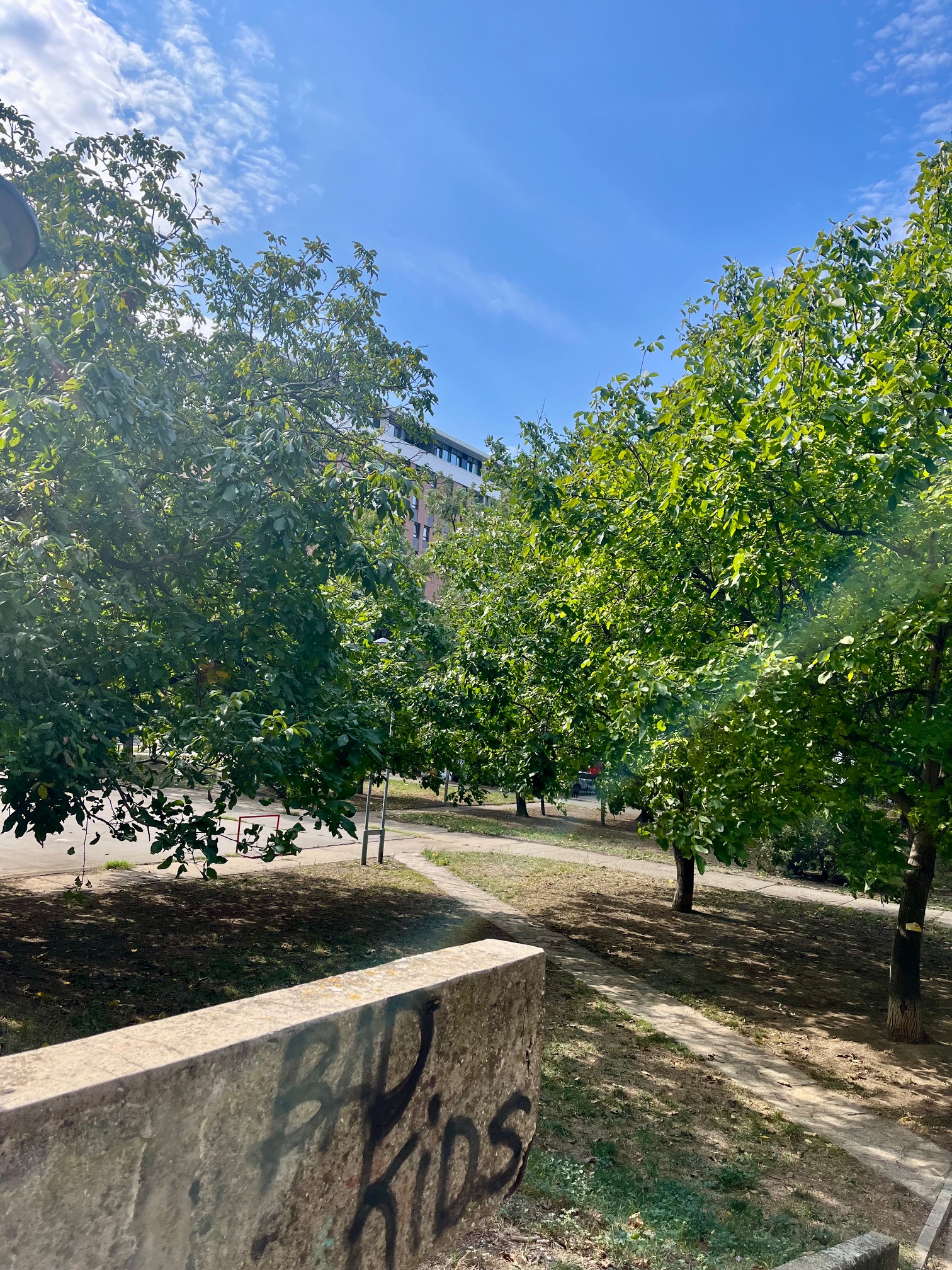 Prodajemo odličan 2 5 stan  71m2  Novi Beograd  Blok 63 4