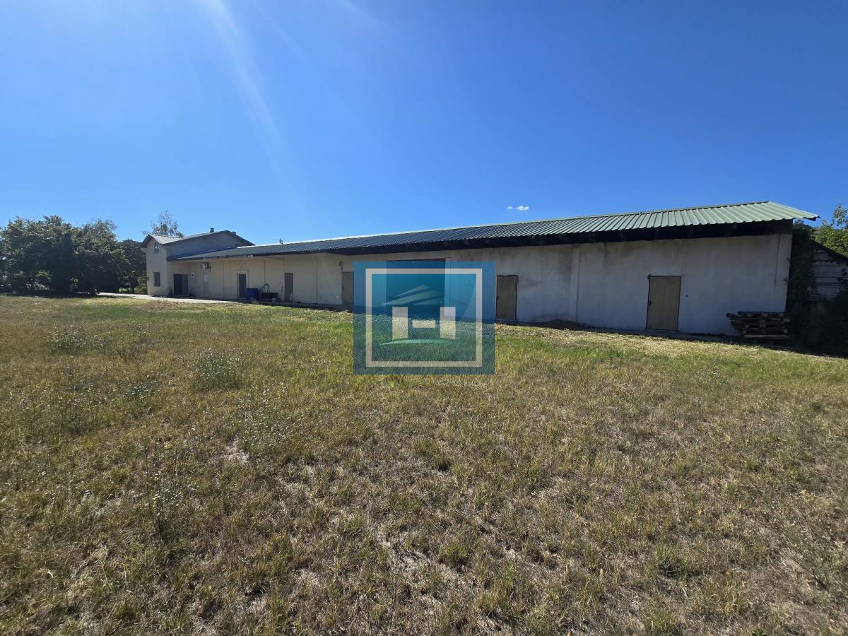 Vladičin Han Lepenica Mlekara 10