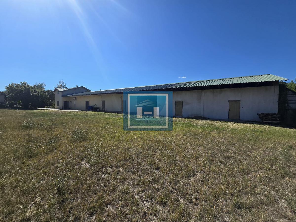 Vladičin Han Lepenica Mlekara 11