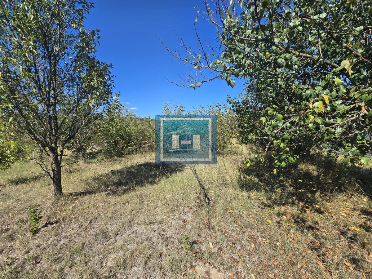 Vladičin Han Lepenica Mlekara 12