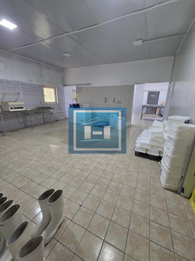 Vladičin Han Lepenica Mlekara 3