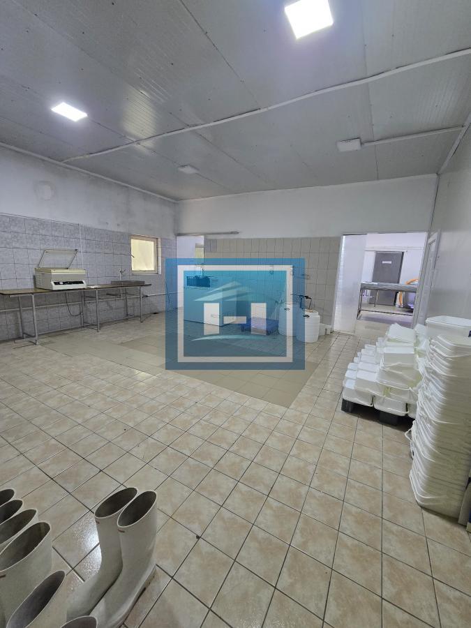 Vladičin Han Lepenica Mlekara 4