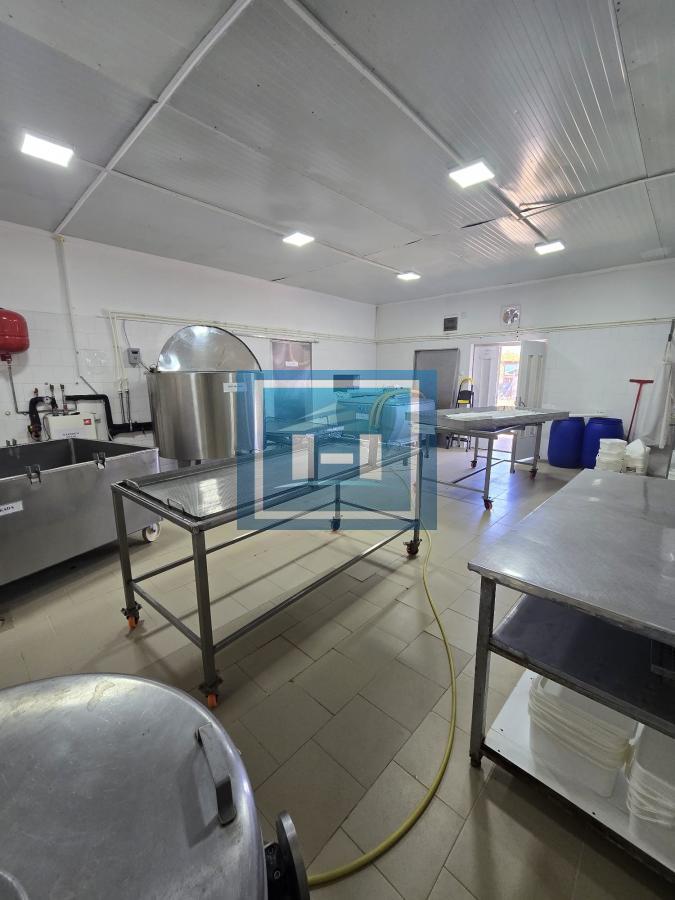 Vladičin Han Lepenica Mlekara 5