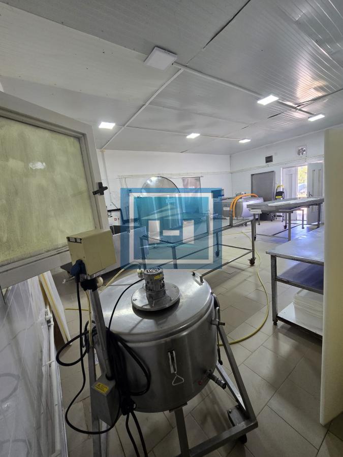 Vladičin Han Lepenica Mlekara 6