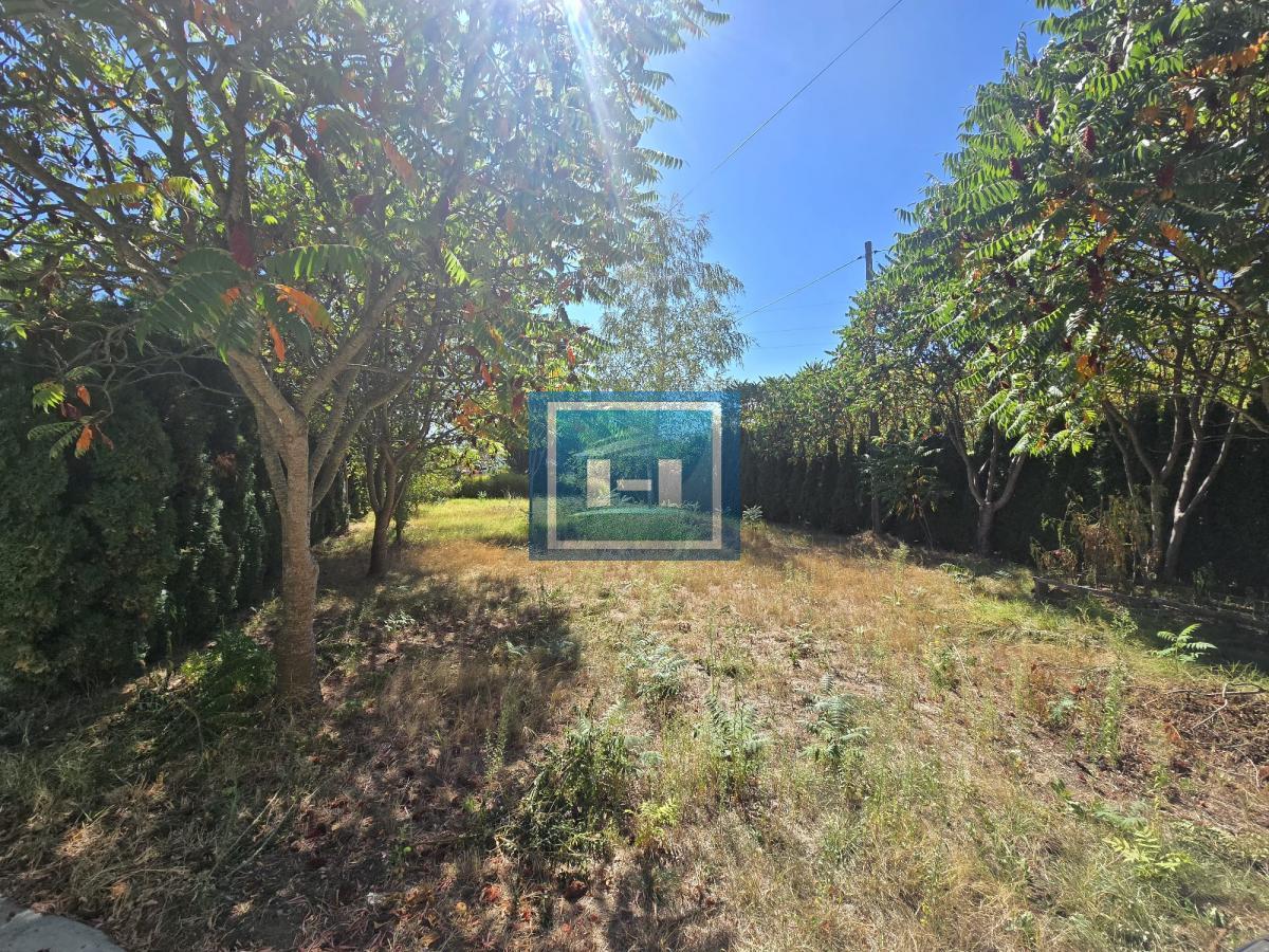 Vladičin Han Lepenica Mlekara 9