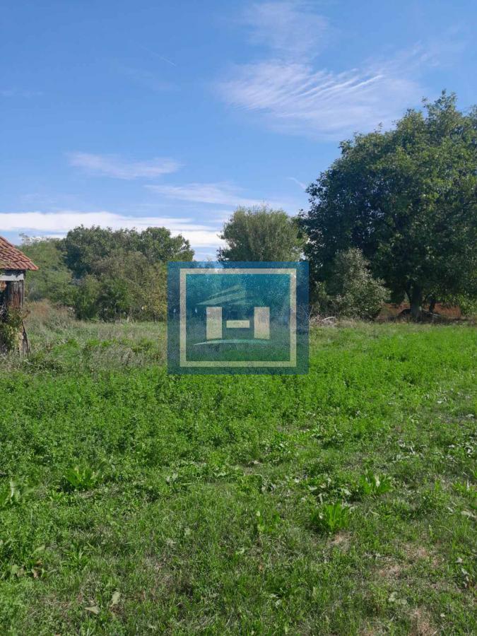 Na prodaju plac od 33 ara sa započetom kućom u Batočini! 16