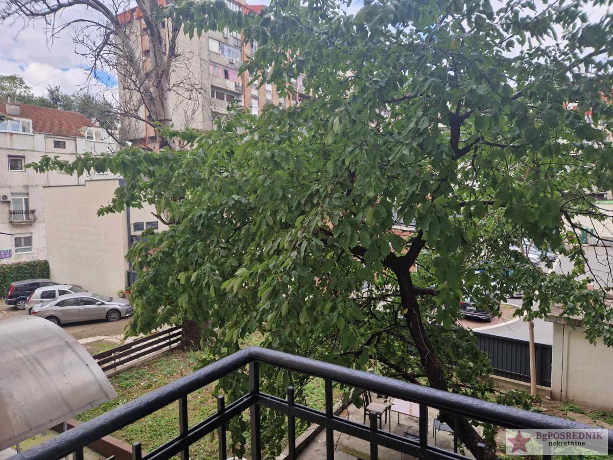 Palilula, Botanička bašta, Bulevar despota Stefana, 73m2 (2T) 14