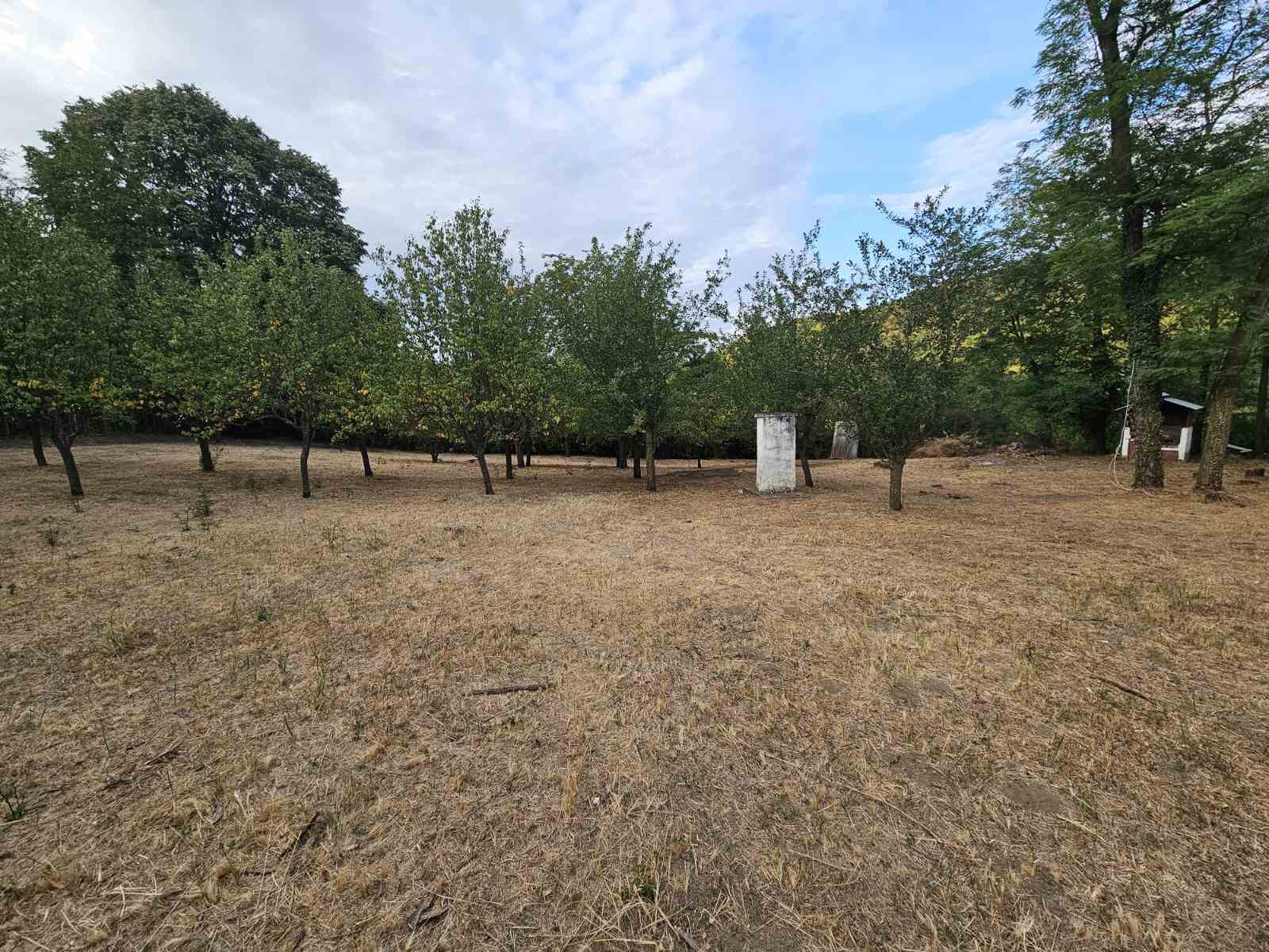 Plac,RAKOVAC,RAKOVAC,kv: 2503, € 105000, ID: 7000787 1