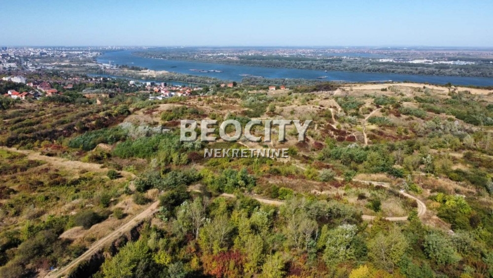 Plac, Palilula, Nedeljka Košanina ID: 123459 1