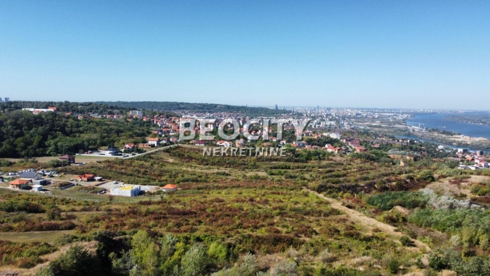 Plac, Palilula, Nedeljka Košanina ID: 123459 2