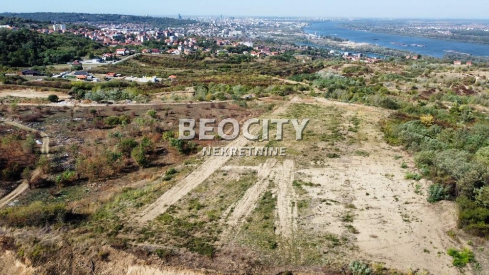 Plac, Palilula, Nedeljka Košanina ID: 123459 3