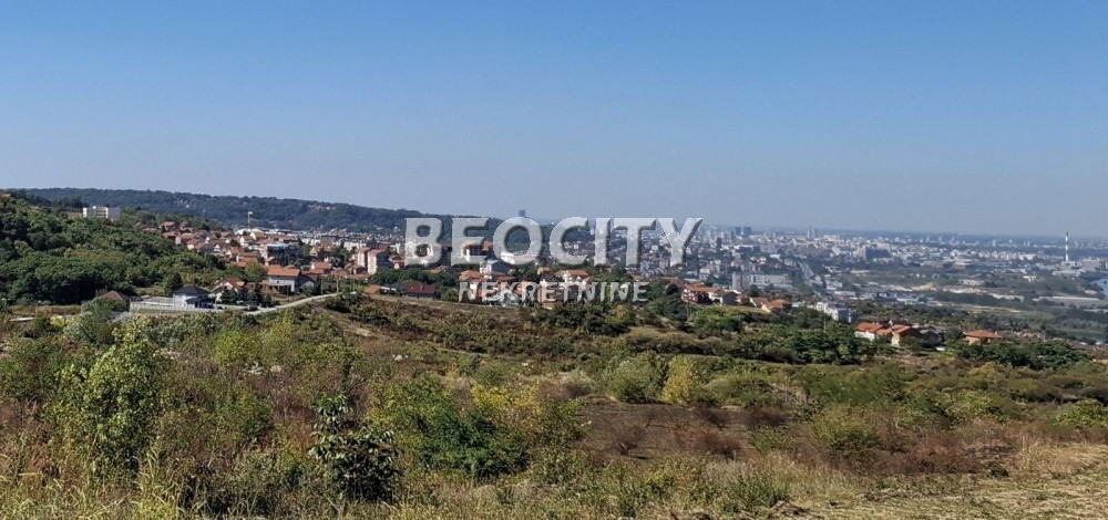 Plac, Palilula, Nedeljka Košanina ID: 123459 6