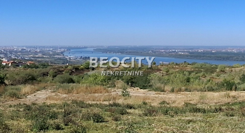 Plac, Palilula, Nedeljka Košanina ID: 123459 7