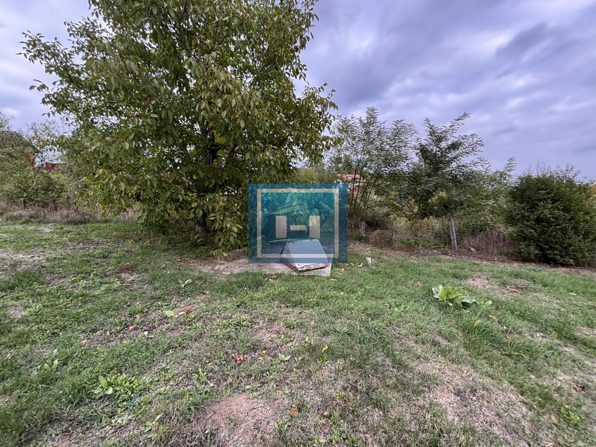 RAJ NA ZEMLJI – 2,5 HEKTARA ČISTE PRIRODE I POTENCIJALA 12