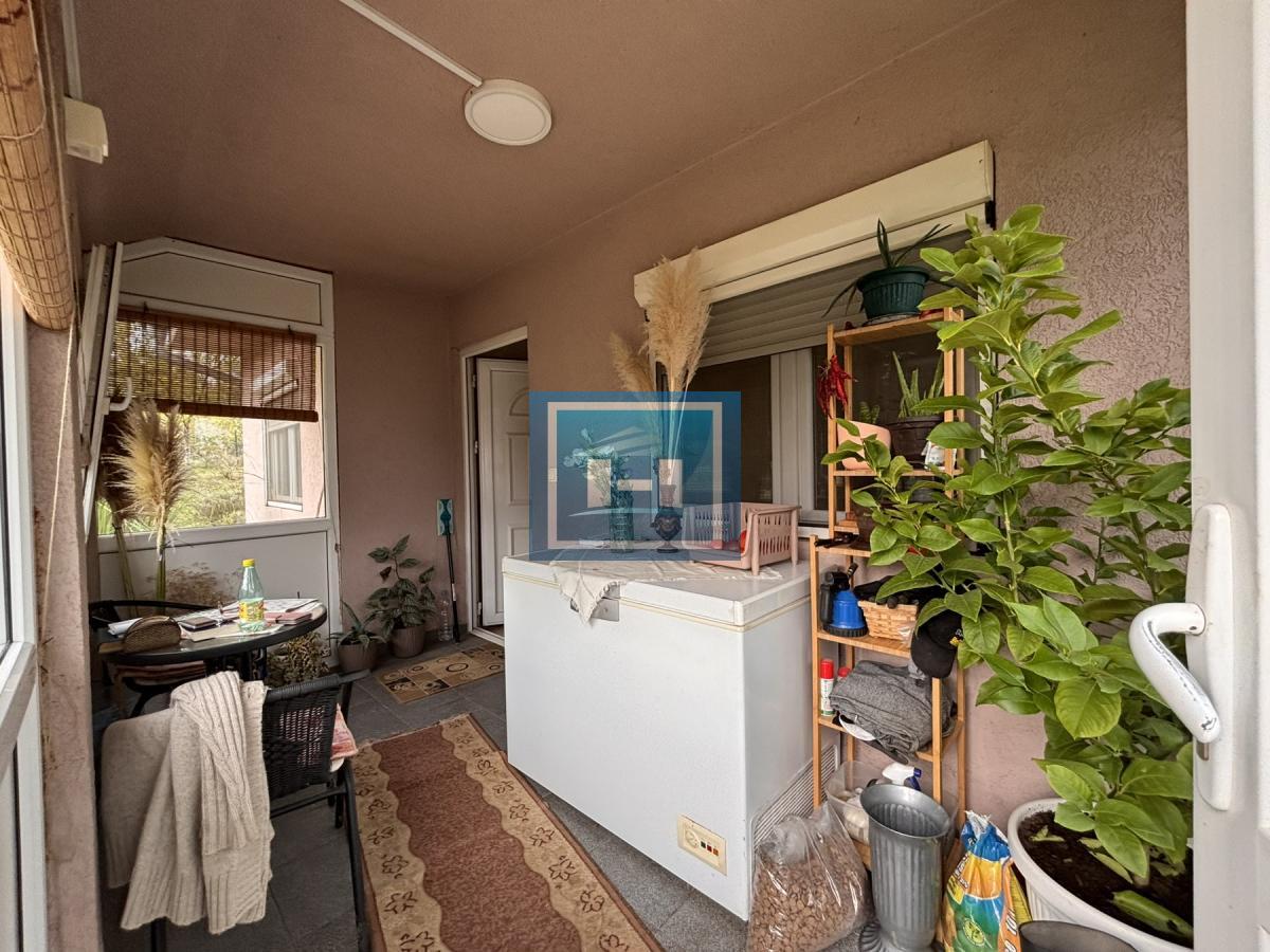 RAJ NA ZEMLJI – 2,5 HEKTARA ČISTE PRIRODE I POTENCIJALA 15