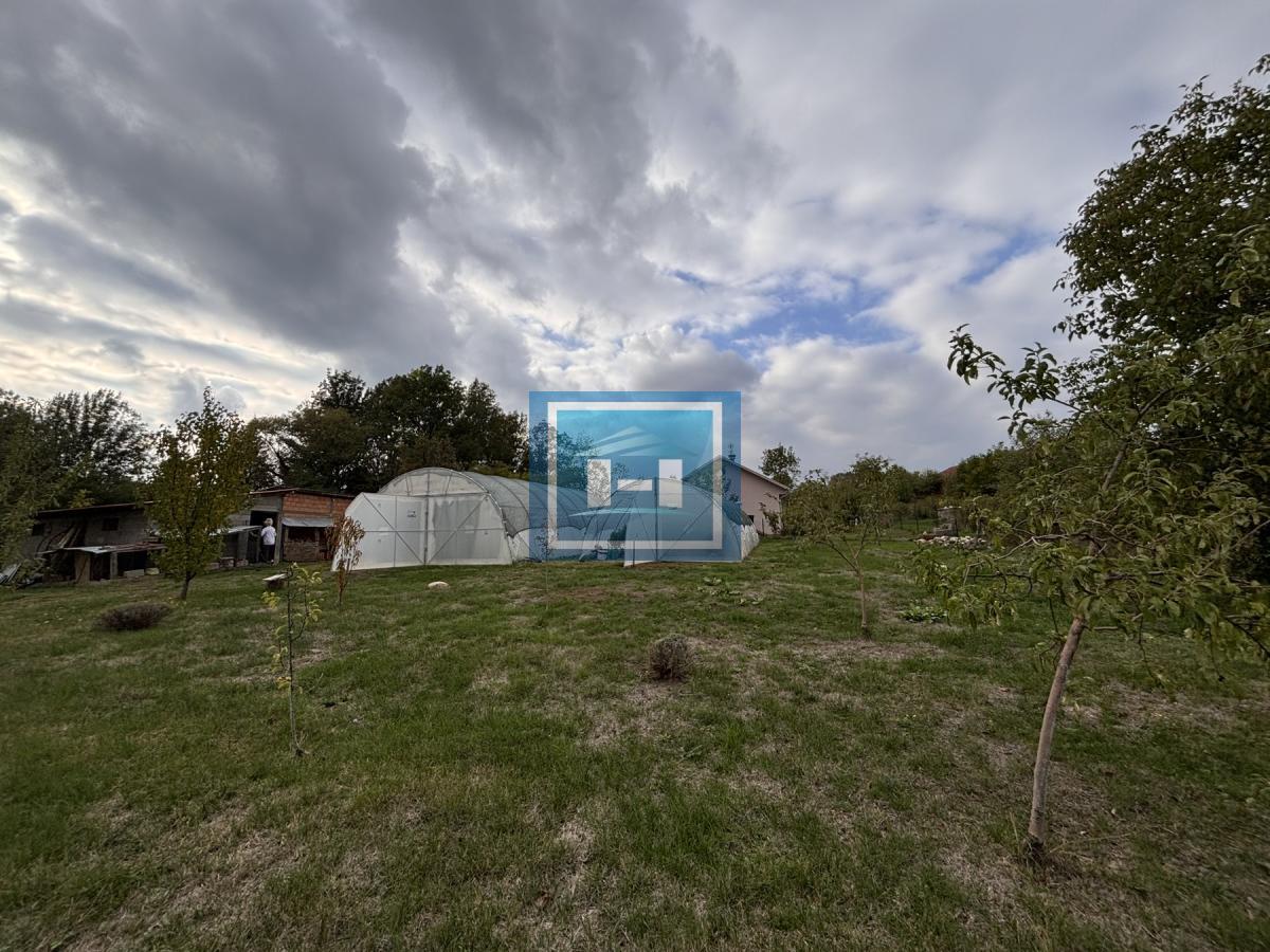 RAJ NA ZEMLJI – 2,5 HEKTARA ČISTE PRIRODE I POTENCIJALA 36