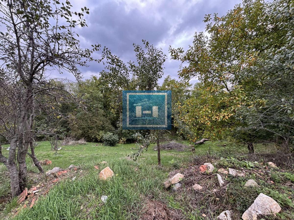 RAJ NA ZEMLJI – 2,5 HEKTARA ČISTE PRIRODE I POTENCIJALA 46