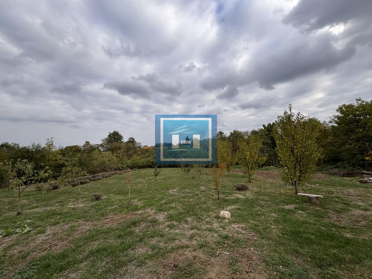 RAJ NA ZEMLJI – 2,5 HEKTARA ČISTE PRIRODE I POTENCIJALA 50