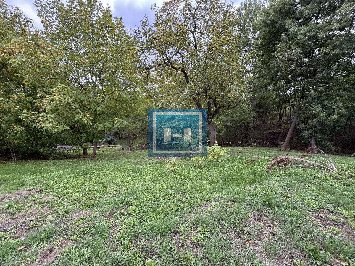 RAJ NA ZEMLJI – 2,5 HEKTARA ČISTE PRIRODE I POTENCIJALA 51