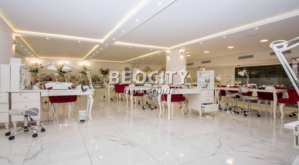 Lokal, 320 m2, Centar, Kneza Miloša ID: 123140 11