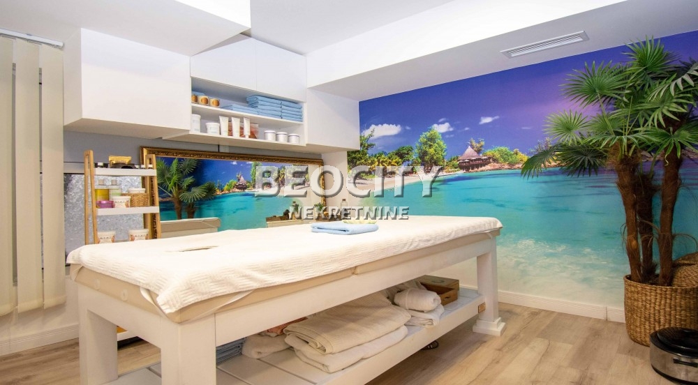 Lokal, 320 m2, Centar, Kneza Miloša ID: 123140 13