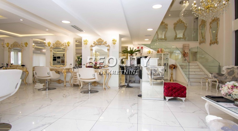 Lokal, 320 m2, Centar, Kneza Miloša ID: 123140 2