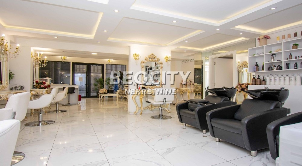 Lokal, 320 m2, Centar, Kneza Miloša ID: 123140 3
