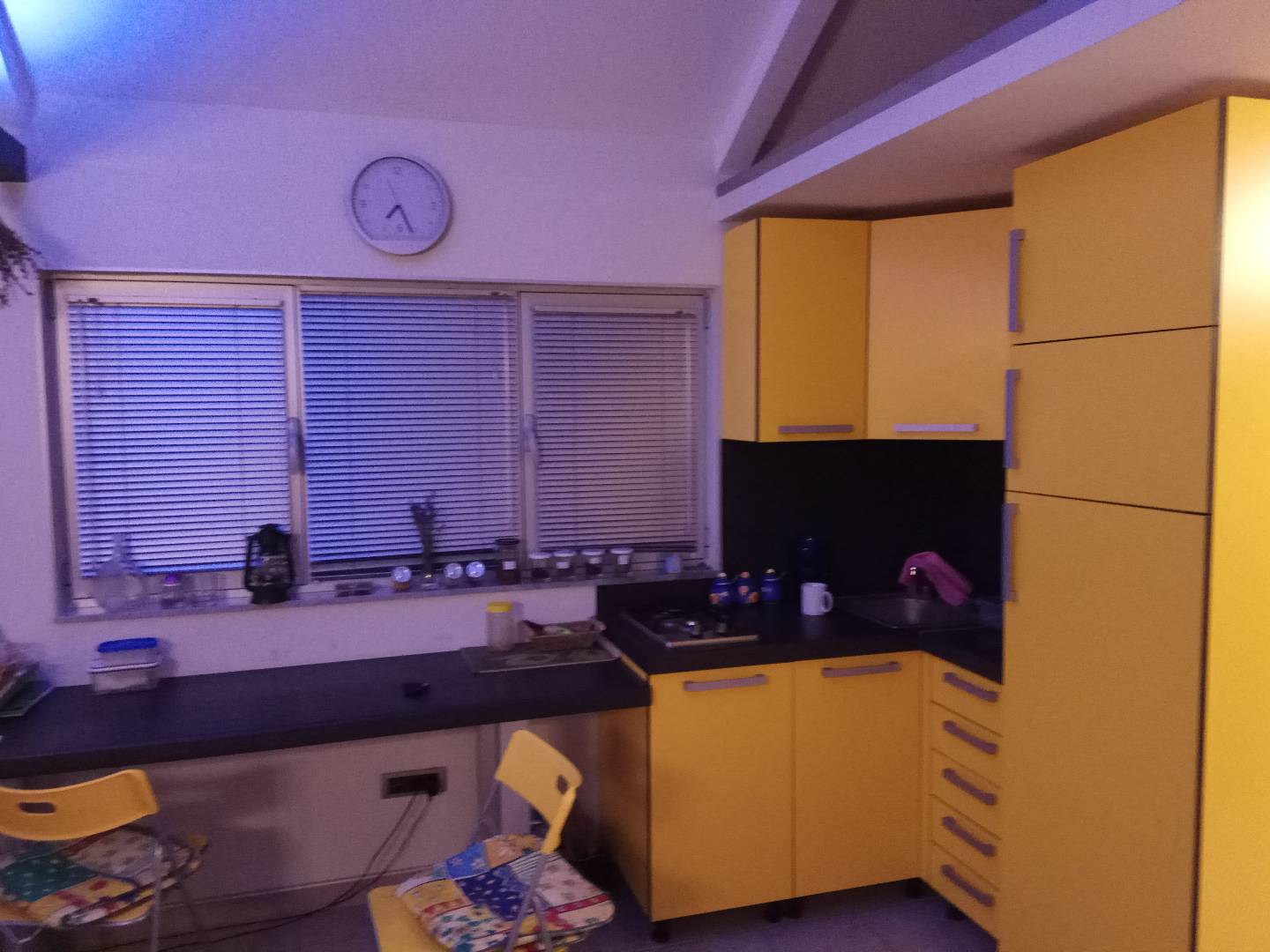 Vikendica na Ribnjaku najatraktivnijem delu Novog Sada 3