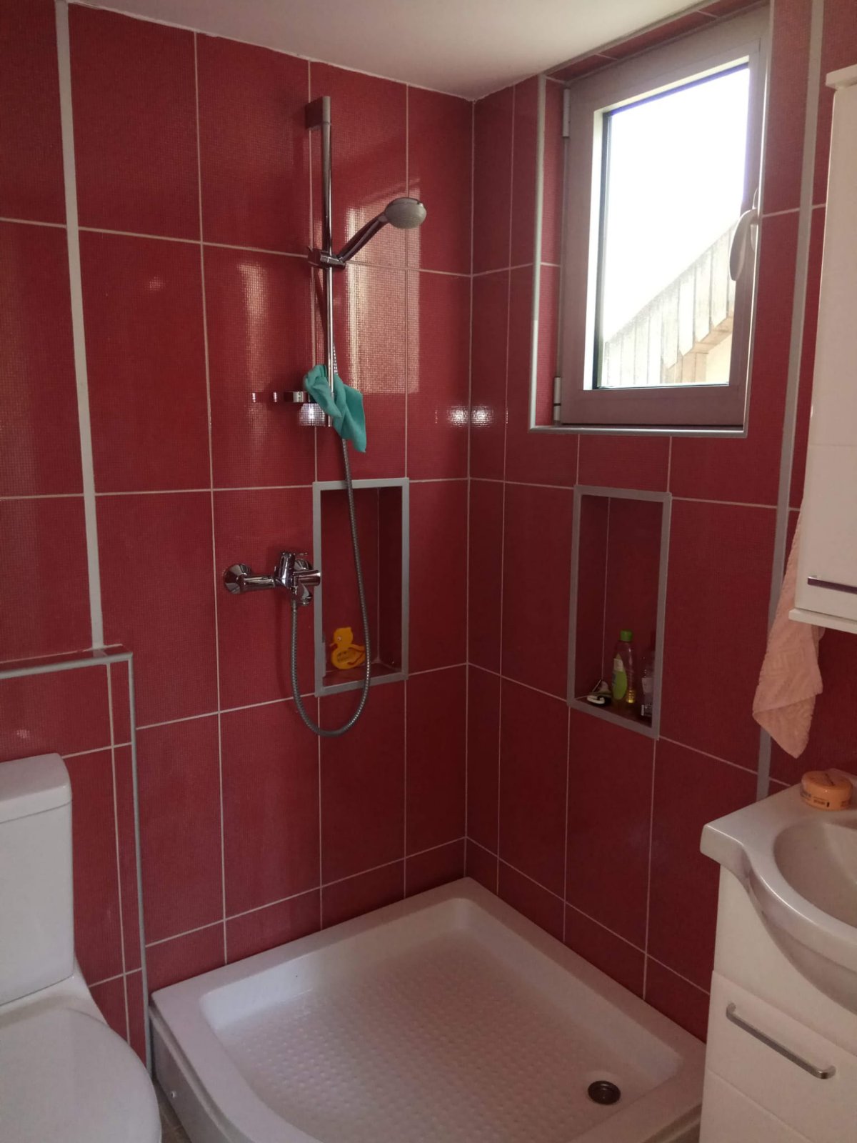 Vikendica na Ribnjaku najatraktivnijem delu Novog Sada 5