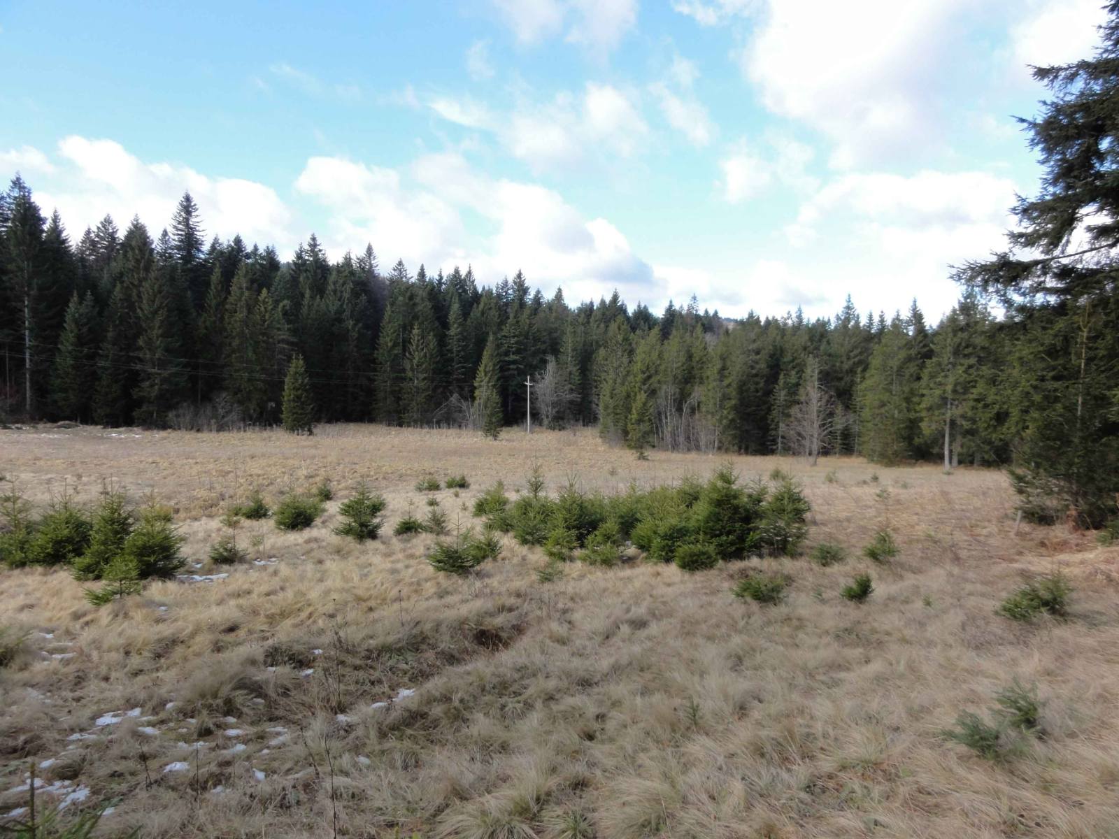 Na prodaju dva placa u blizini Mitrovca na Tari 2